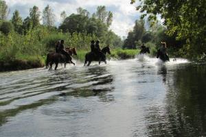 Druženje srediških in hrvaških konjenikov na Grabah 6
